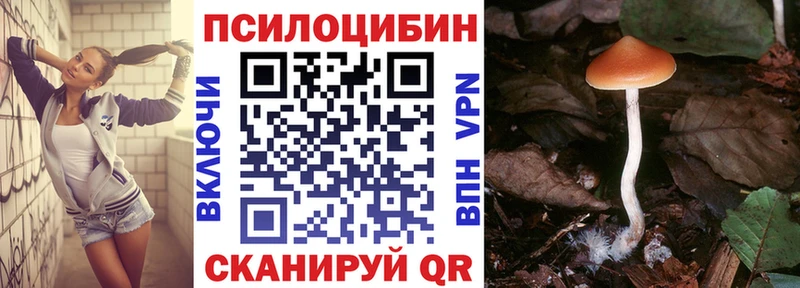 Псилоцибиновые грибы Magic Shrooms  Куйбышев 