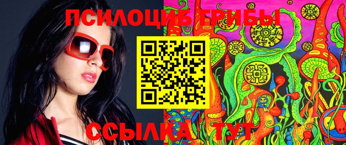 Псилоцибиновые грибы Psilocybe  Вход с VPN  Куйбышев 