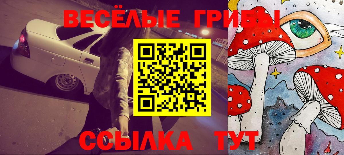 Галлюциногенные грибы Psilocybine cubensis  Куйбышев 