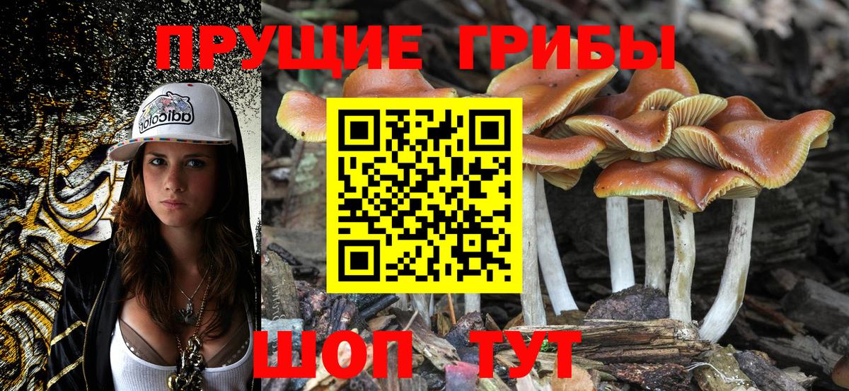 Псилоцибиновые грибы MAGIC MUSHROOMS Куйбышев